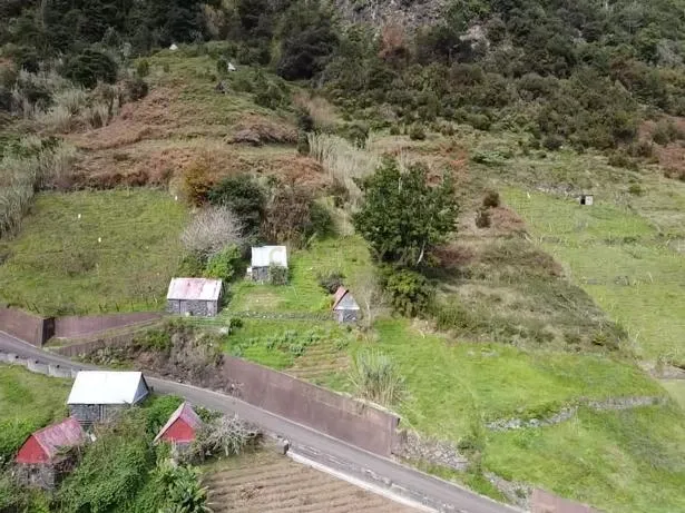 Terreno com 3700m2 - Faial (Santana) - Image 7