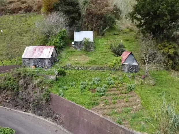 Terreno com 3700m2 - Faial (Santana) - Image 6