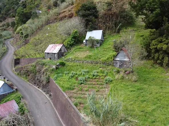 Terreno com 3700m2 - Faial (Santana) - Image 3