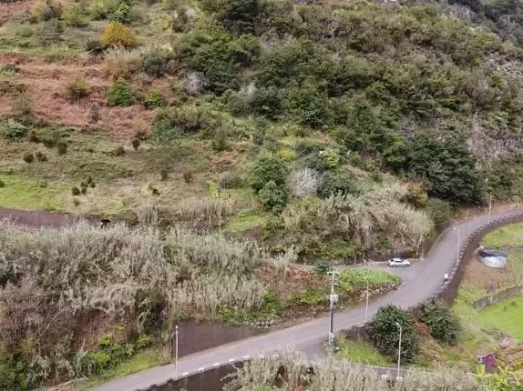Terreno com 2180 m2 - Faial (Santana) - Image 4