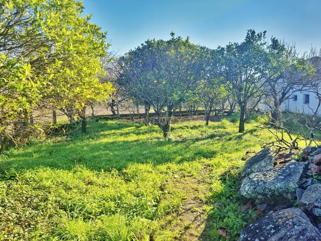 Quinta carismática em São Félix da Marinha - Vila Nova de Gaia - Image 27
