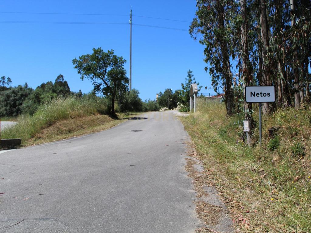 Terreno Almagreira - Pombal - Image 7