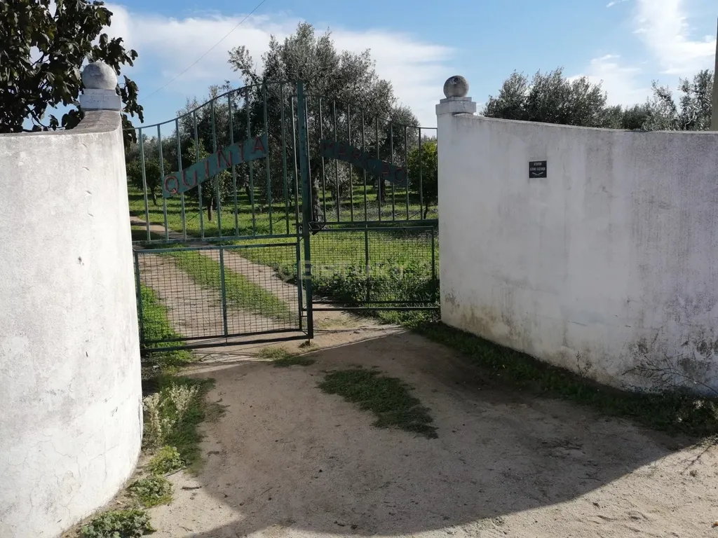 Quinta no Carapetal - Image 3