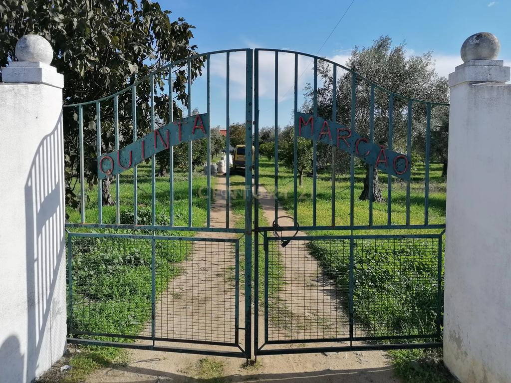 Quinta no Carapetal - Image 1