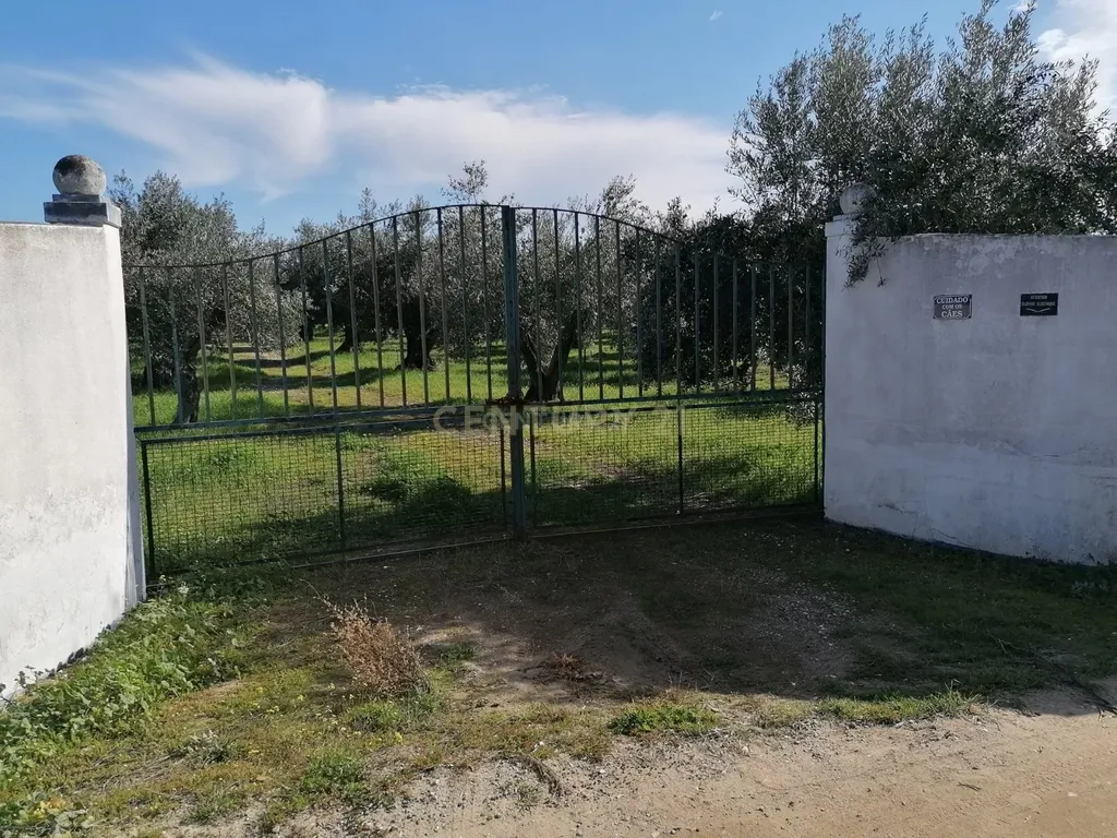 Quinta no Carapetal - Image 2