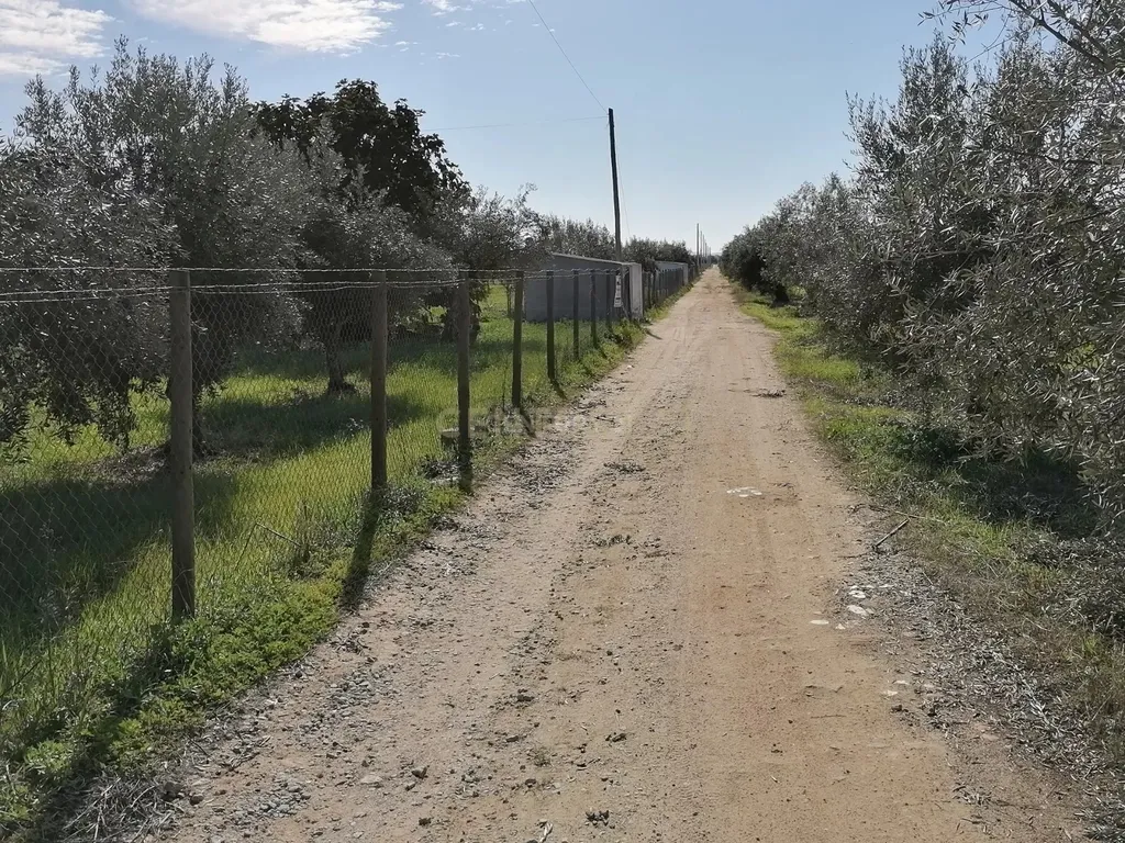 Quinta no Carapetal - Image 5