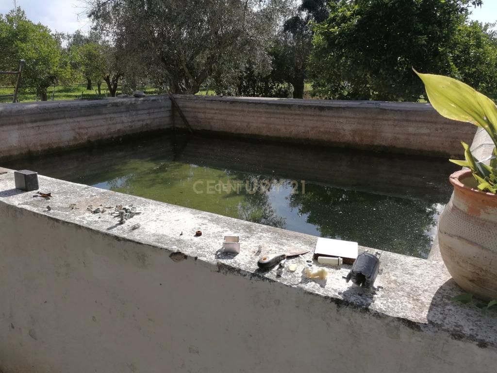 Quinta no Carapetal - Image 16