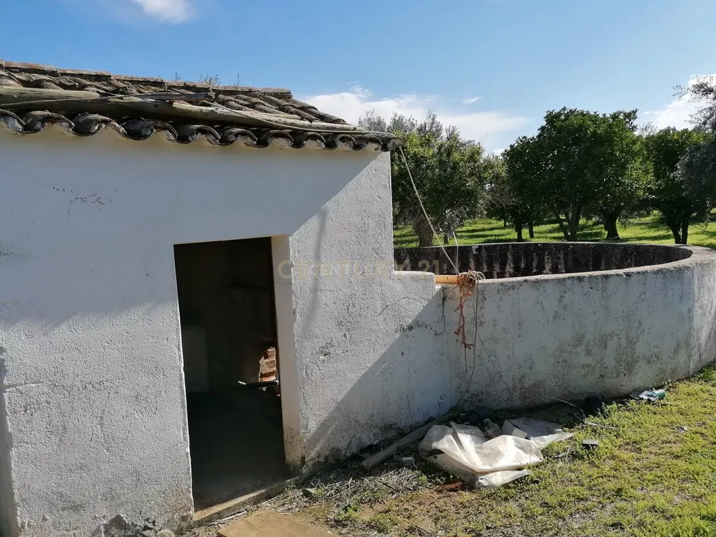 Quinta no Carapetal - Image 19