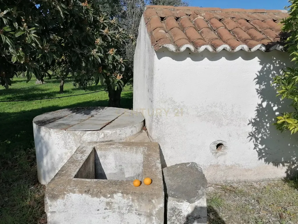 Quinta no Carapetal - Image 20