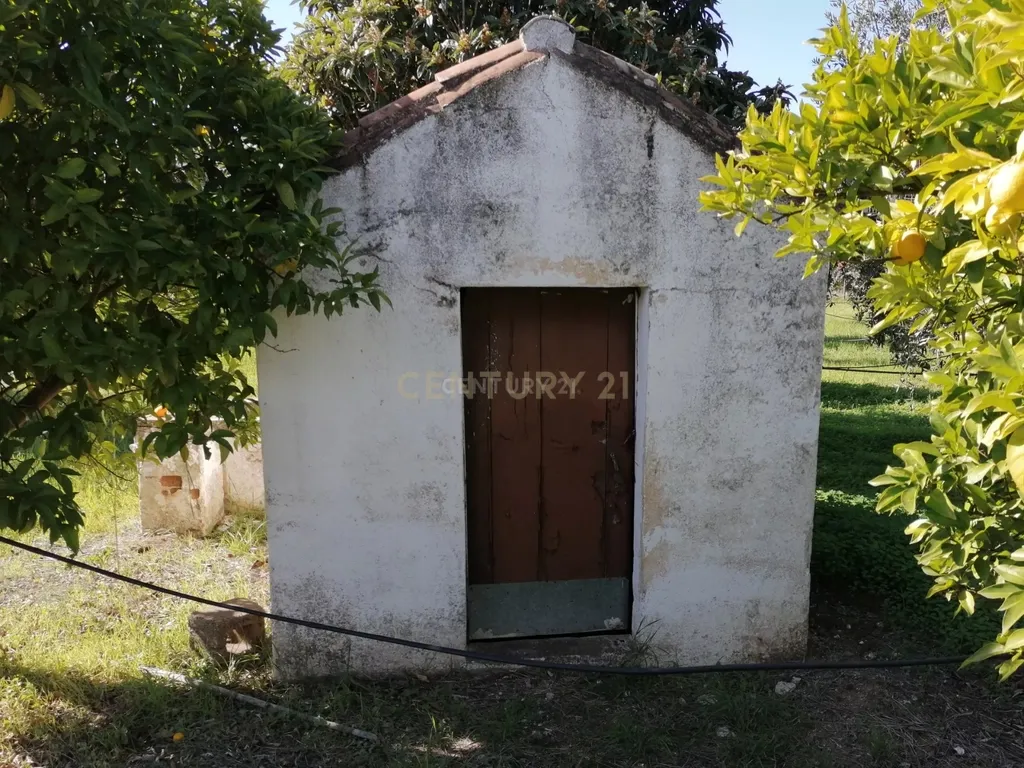 Quinta no Carapetal - Image 21