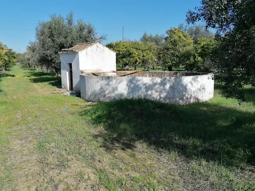 Quinta no Carapetal - Image 18