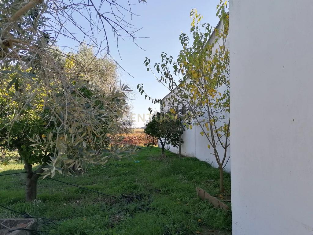 Quinta no Carapetal - Image 35