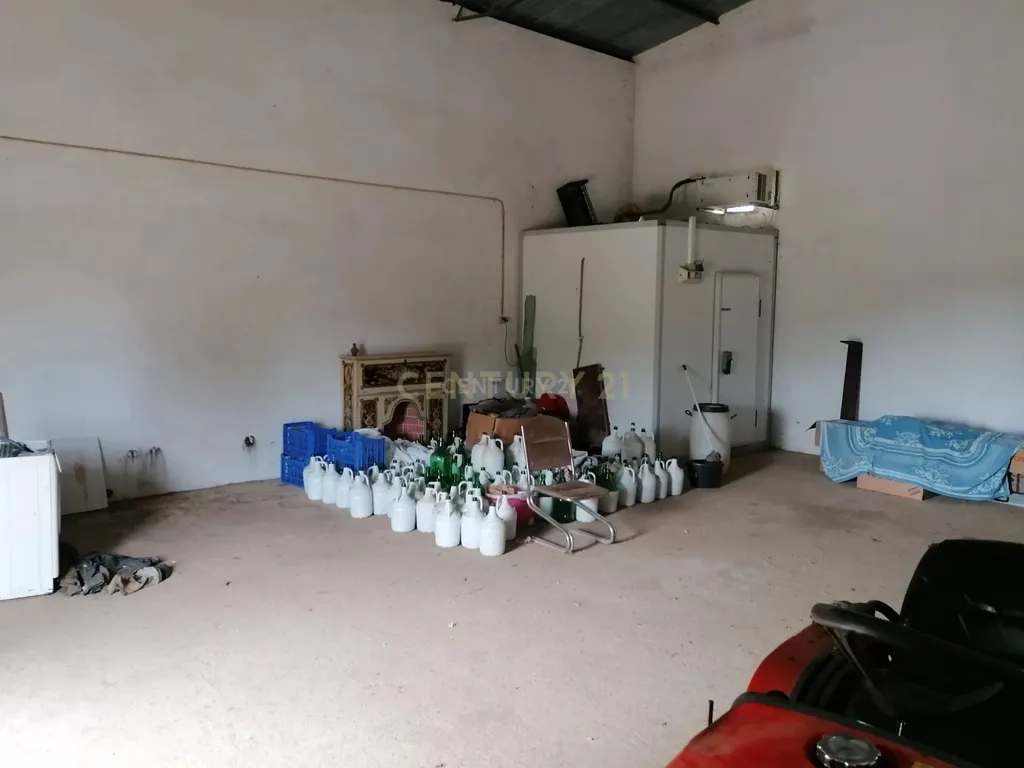 Quinta no Carapetal - Image 33