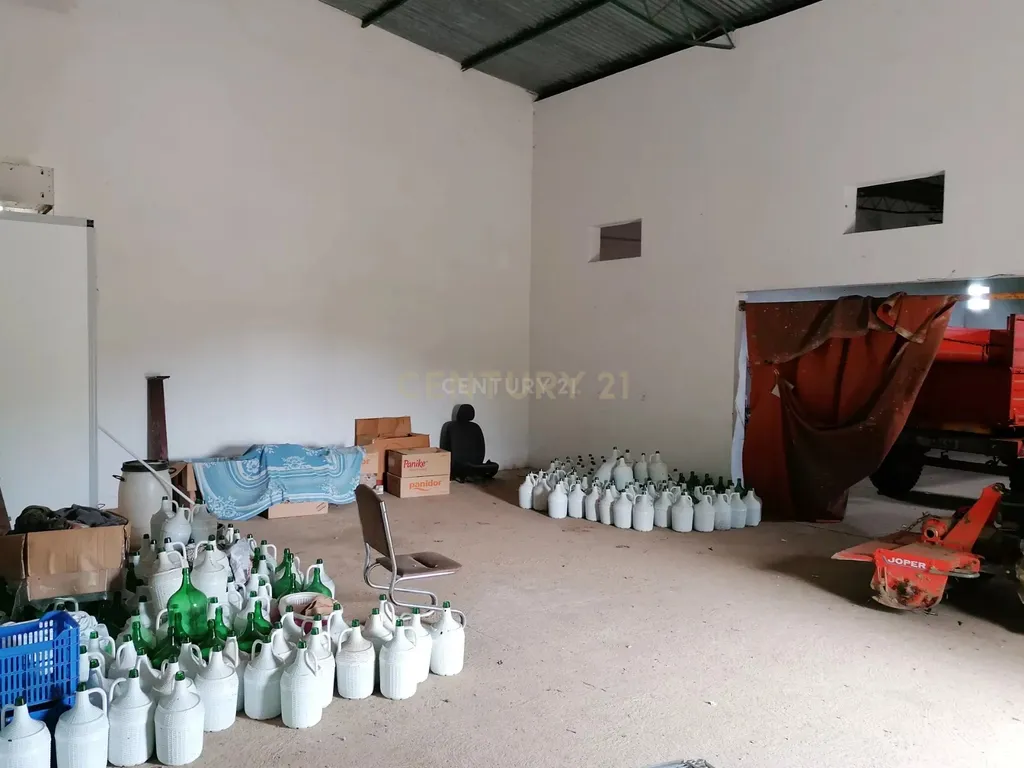 Quinta no Carapetal - Image 31