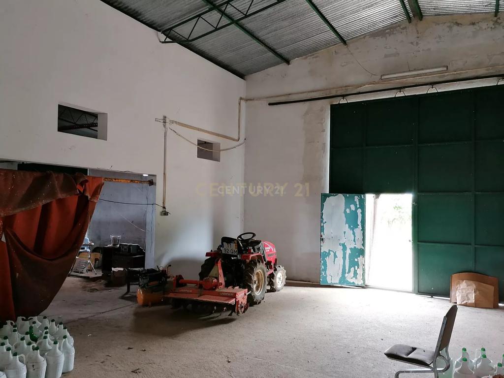 Quinta no Carapetal - Image 28