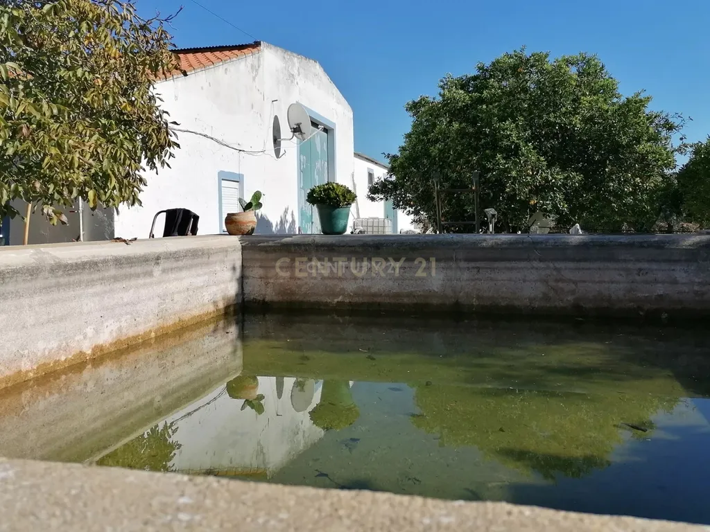 Quinta no Carapetal - Image 17