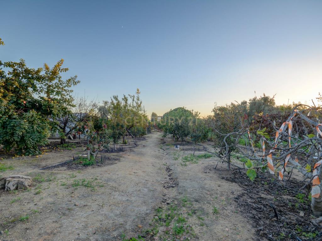 Moradia T4 em lote urbano em Montenegro - Image 4