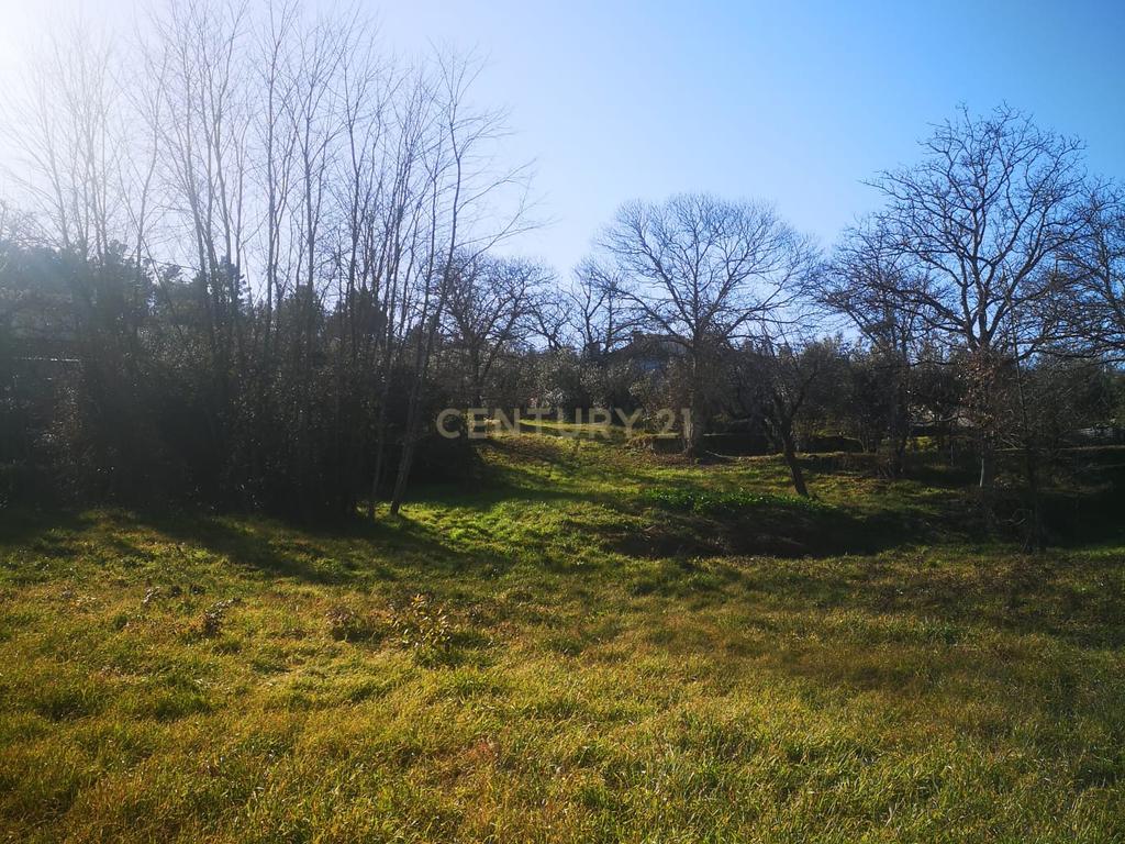 Terreno para moradia Isolada - Image 2