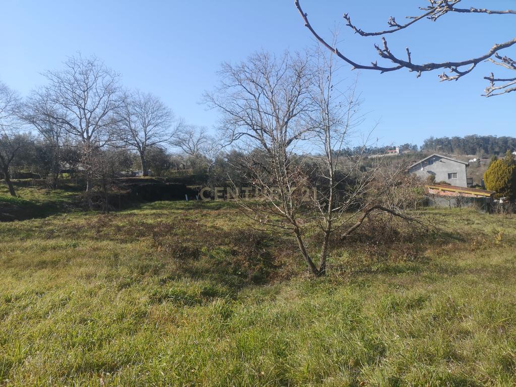 Terreno para moradia Isolada - Image 8