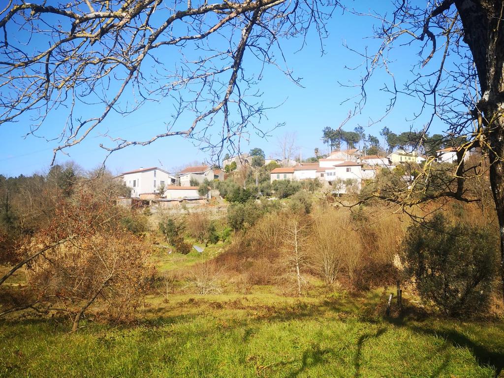 Terreno para moradia Isolada - Image 5