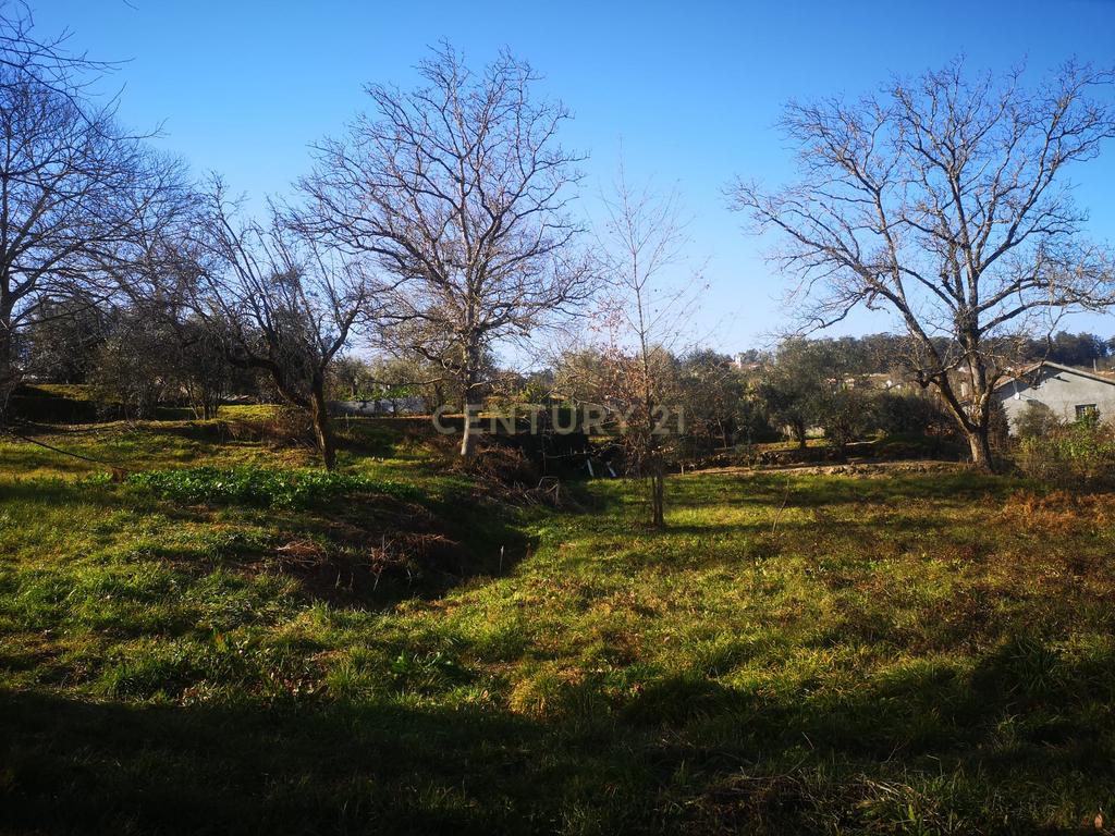 Terreno para moradia Isolada - Image 1