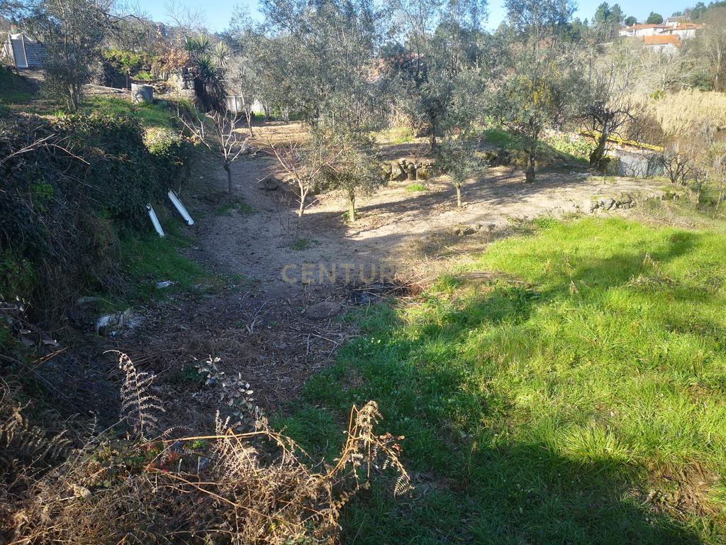 Terreno para moradia Isolada - Image 6