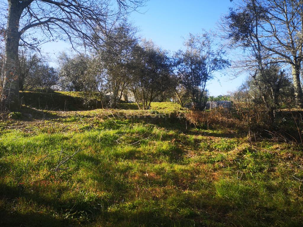 Terreno para moradia Isolada - Image 7