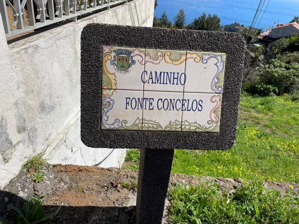 Terreno Rústico - Ribeirinha - Camacha - Image 8