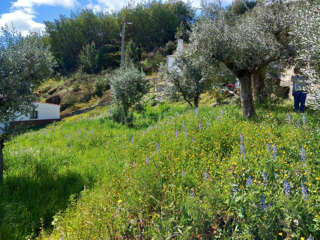 Terreno Rustico Alpedrinha - Image 3
