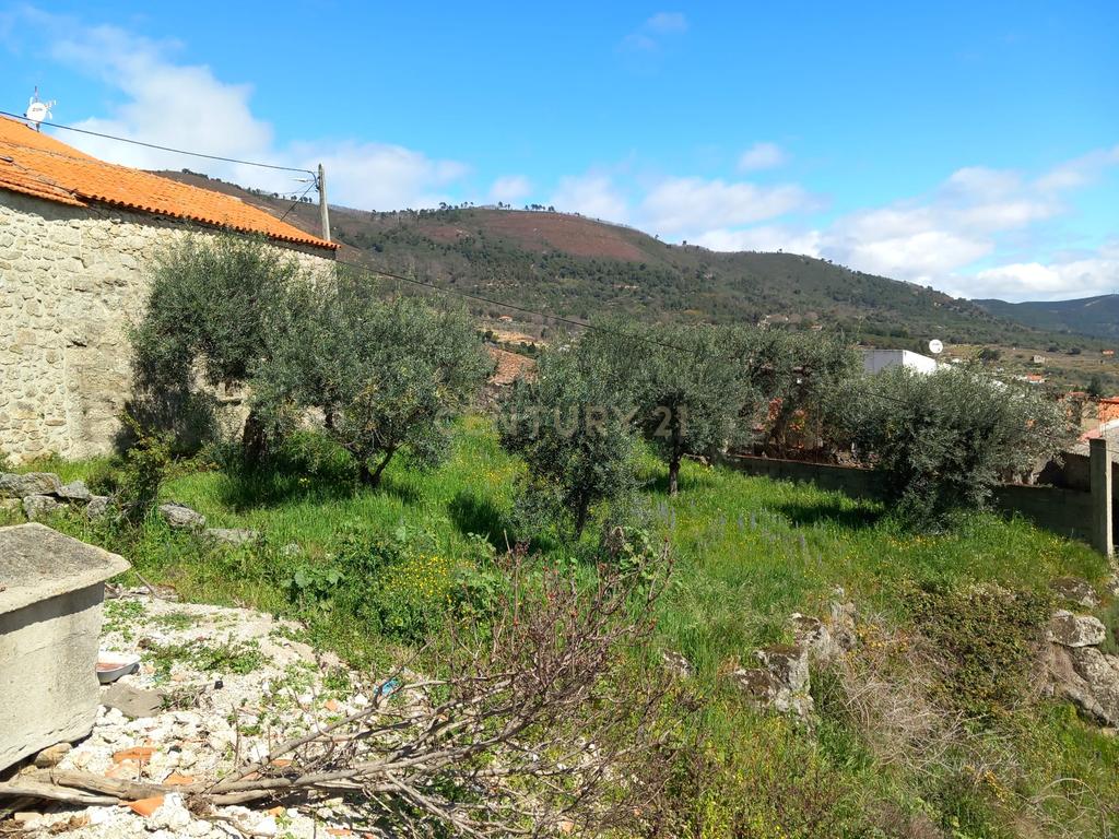 Terreno Rustico Alpedrinha - Image 2