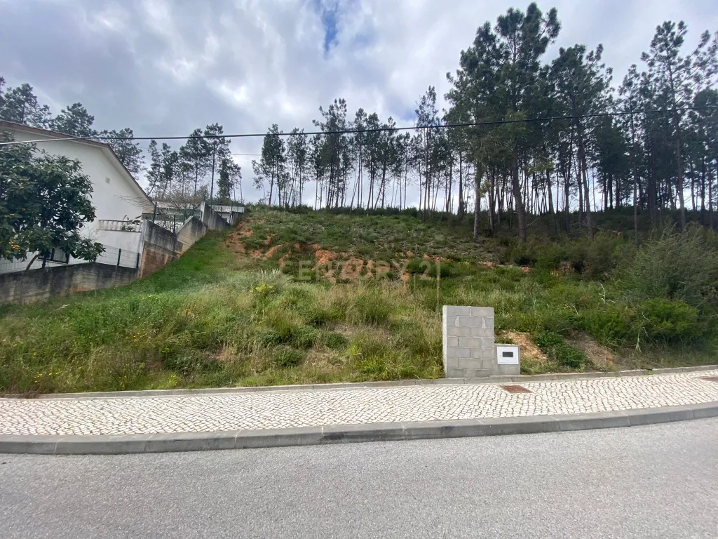 Lote com excelentes vistas em Pombal - Image 10