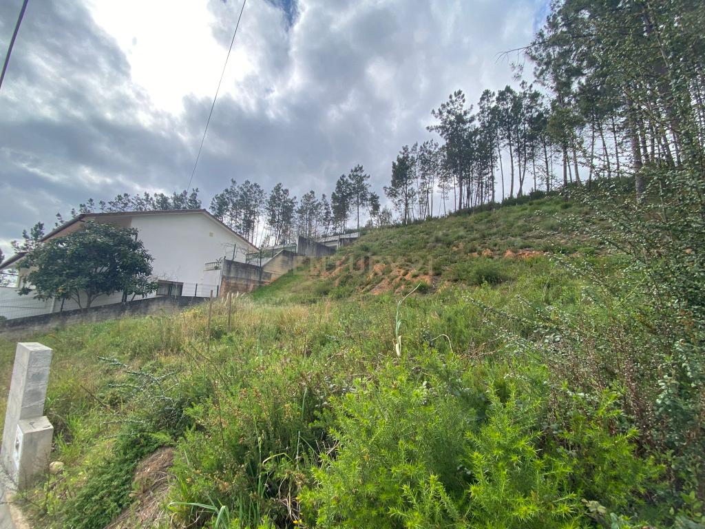 Lote com excelentes vistas em Pombal - Image 9