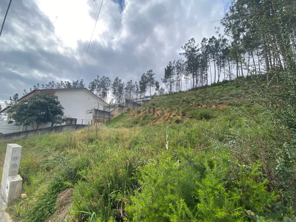 Lote com excelentes vistas em Pombal - Image 9