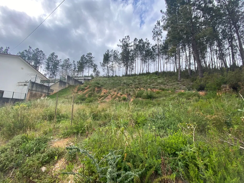 Lote com excelentes vistas em Pombal - Image 8