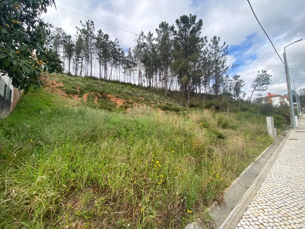 Lote com excelentes vistas em Pombal - Image 6