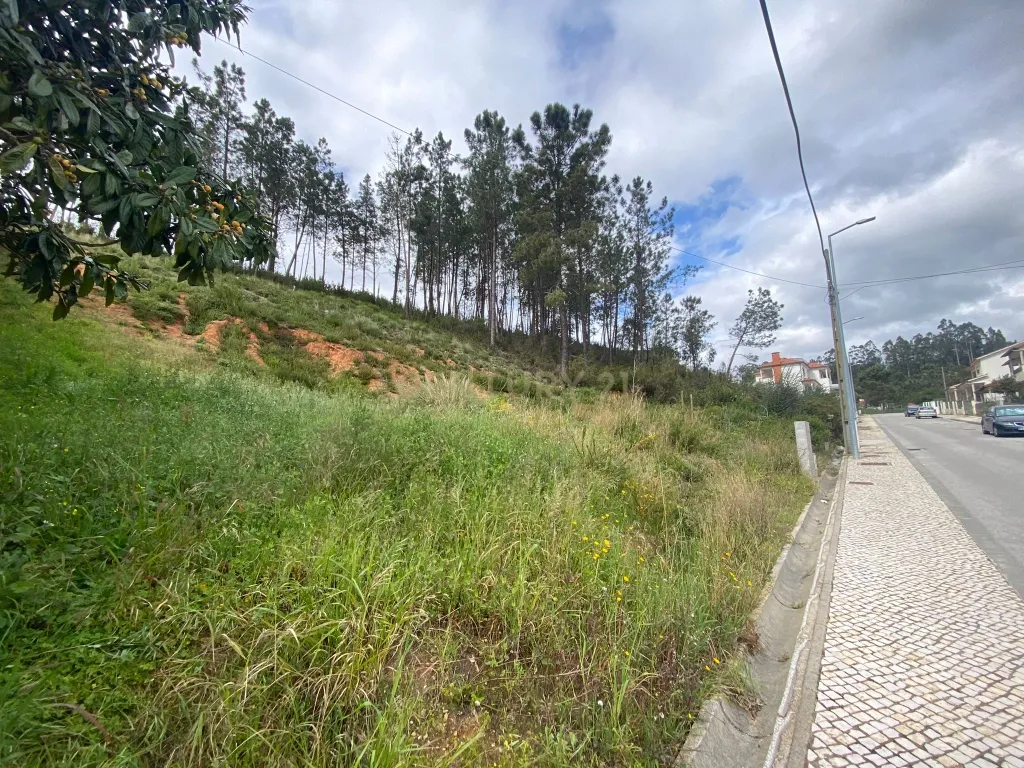 Lote com excelentes vistas em Pombal - Image 7