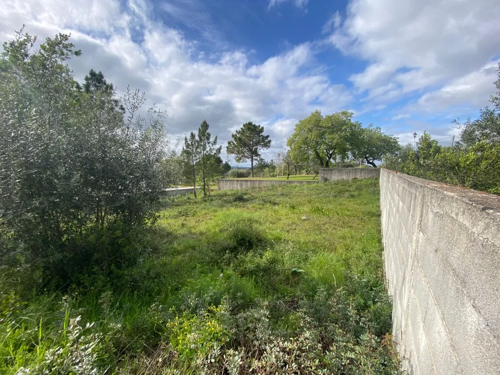Lote para construção de moradia individual em Pombal - Image 8