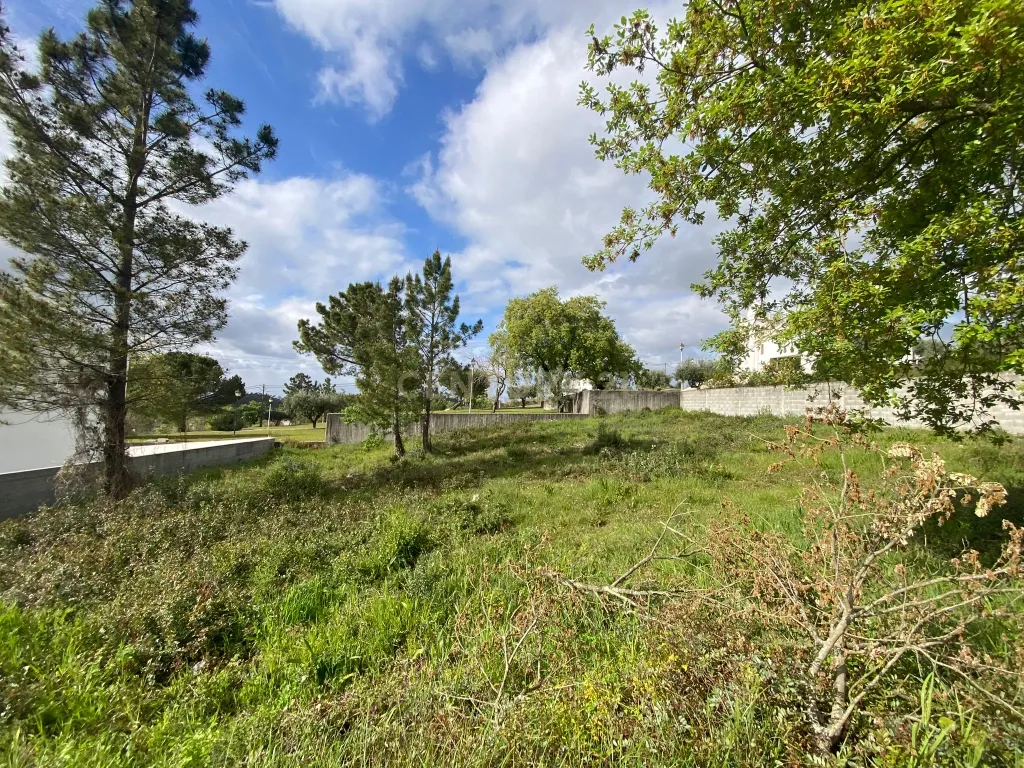 Lote para construção de moradia individual em Pombal - Image 12