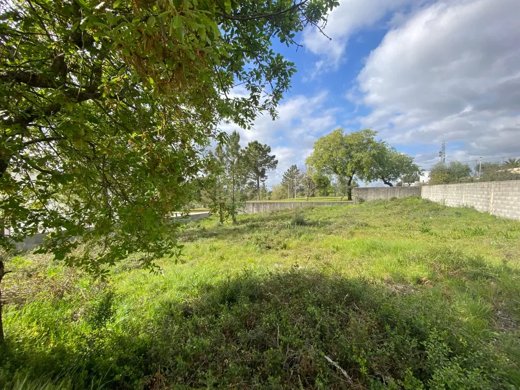 Lote para construção de moradia individual em Pombal - Image 9