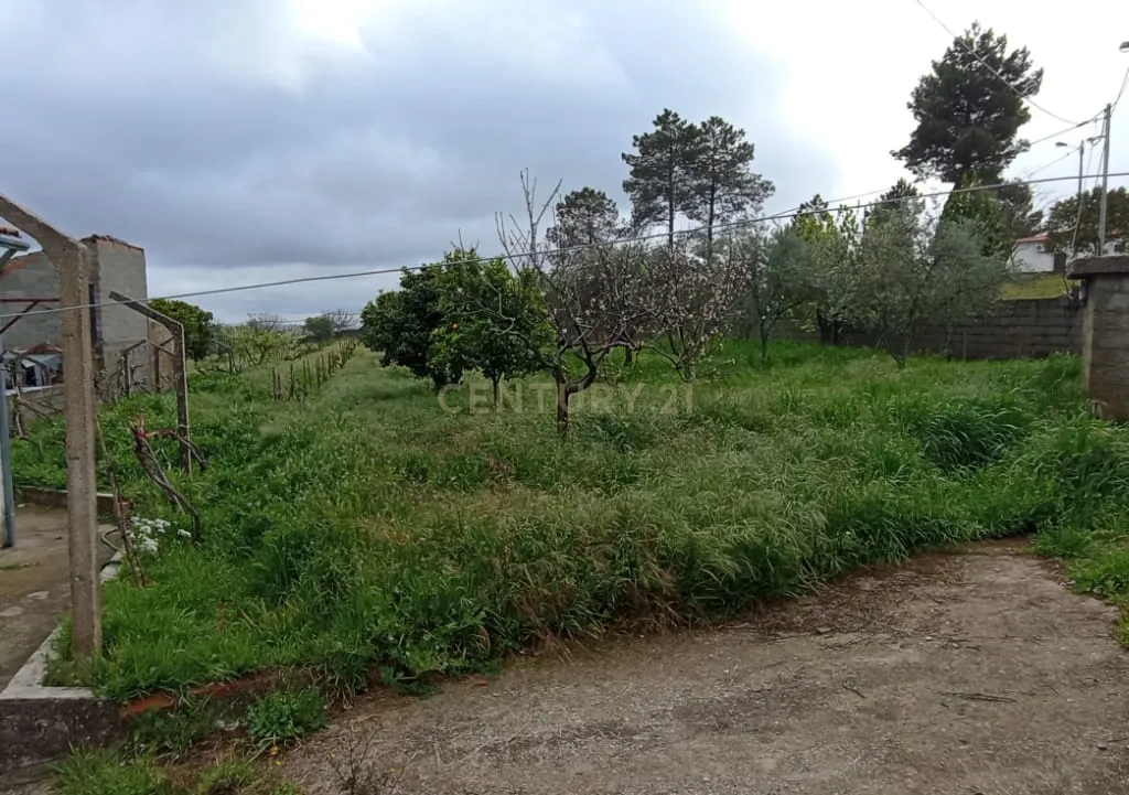 Terreno para construção, Retaxo, Castelo Branco - Image 21