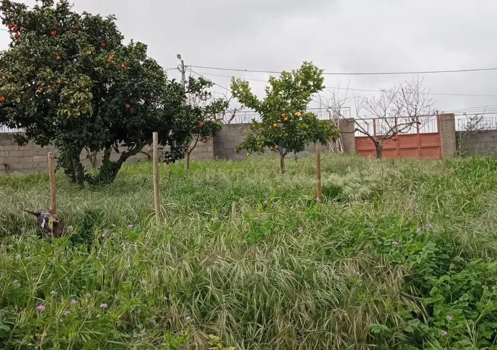 Terreno para construção, Retaxo, Castelo Branco - Image 19