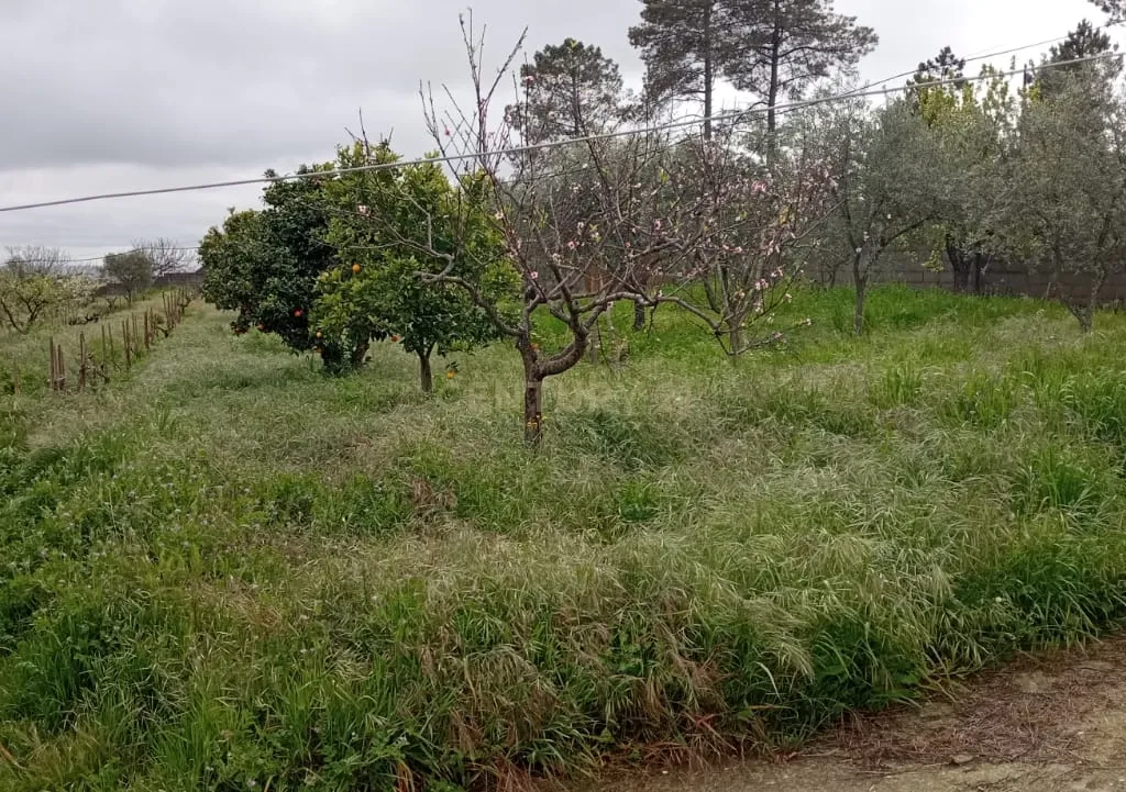 Terreno para construção, Retaxo, Castelo Branco - Image 20