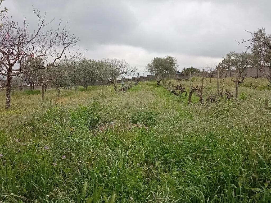 Terreno para construção, Retaxo, Castelo Branco - Image 28