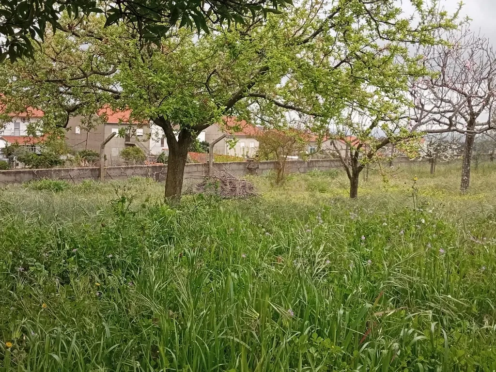 Terreno para construção, Retaxo, Castelo Branco - Image 17