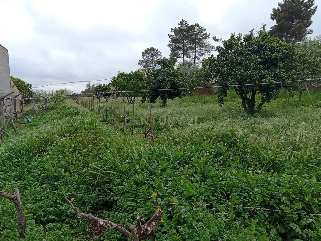 Terreno para construção, Retaxo, Castelo Branco - Image 11