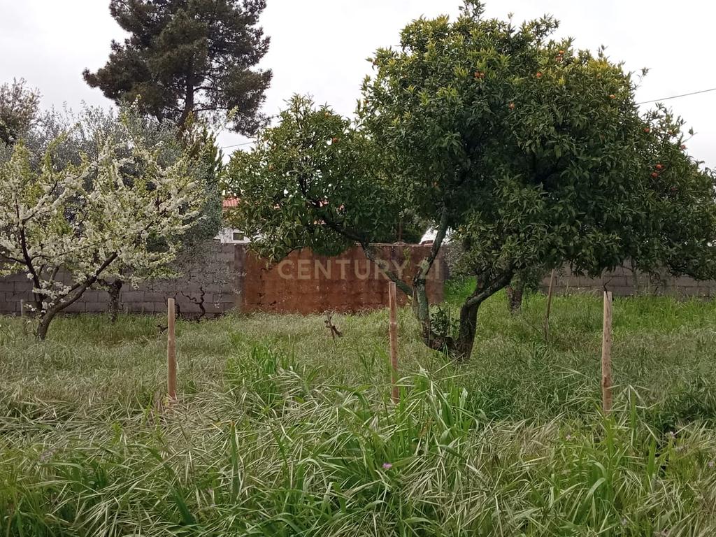 Terreno para construção, Retaxo, Castelo Branco - Image 12