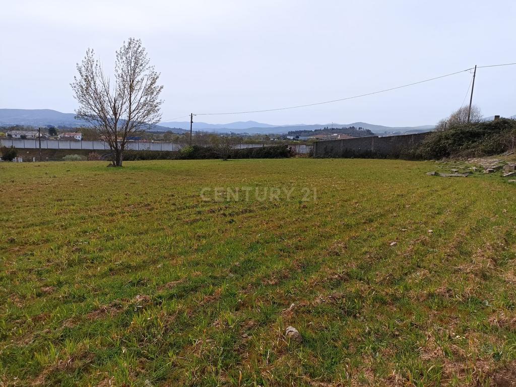 Terreno P/ Construção em Alcaria, Fundão - Image 7