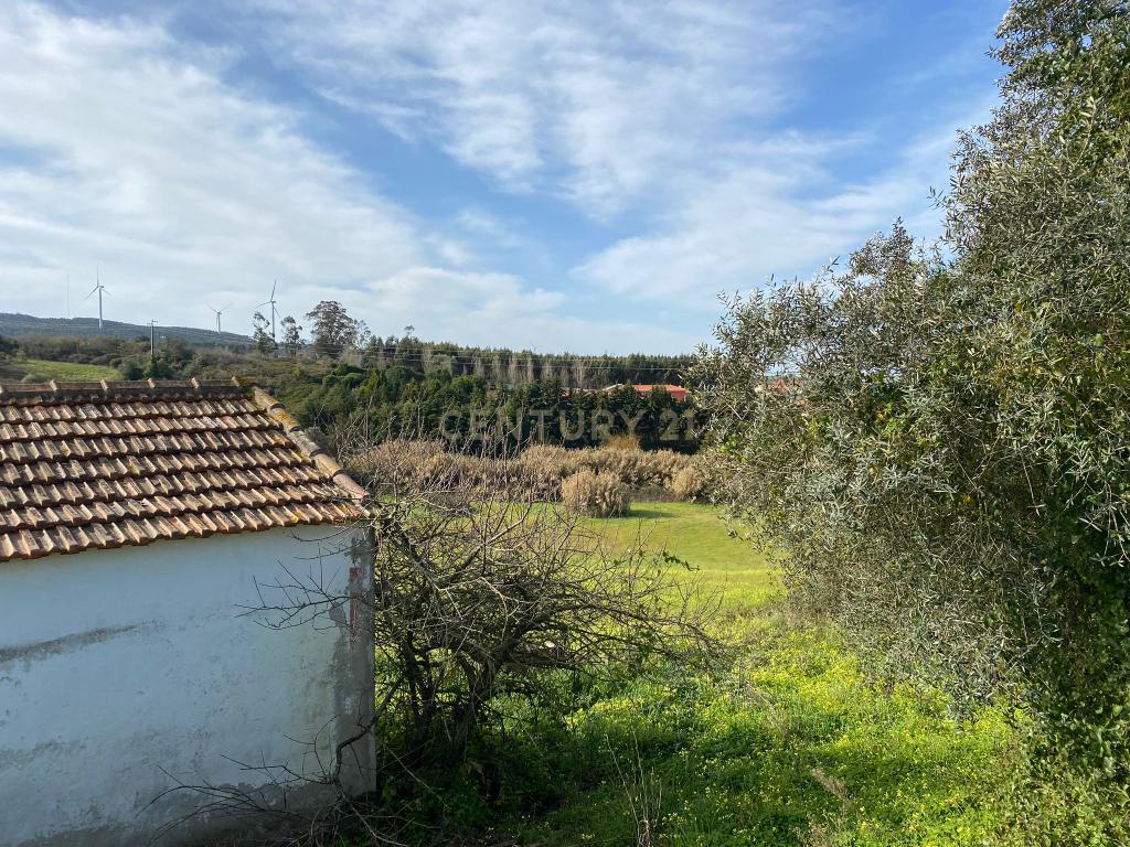 Terreno para venda em Santo Quintino - Image 10
