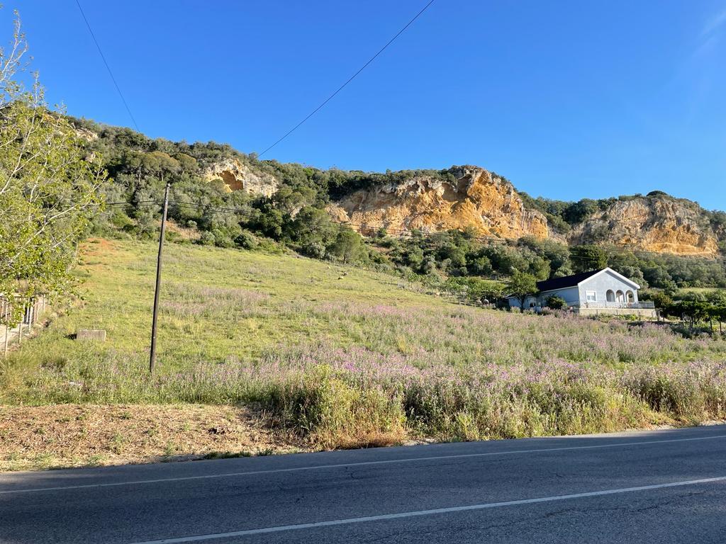 Terreno - Image 2