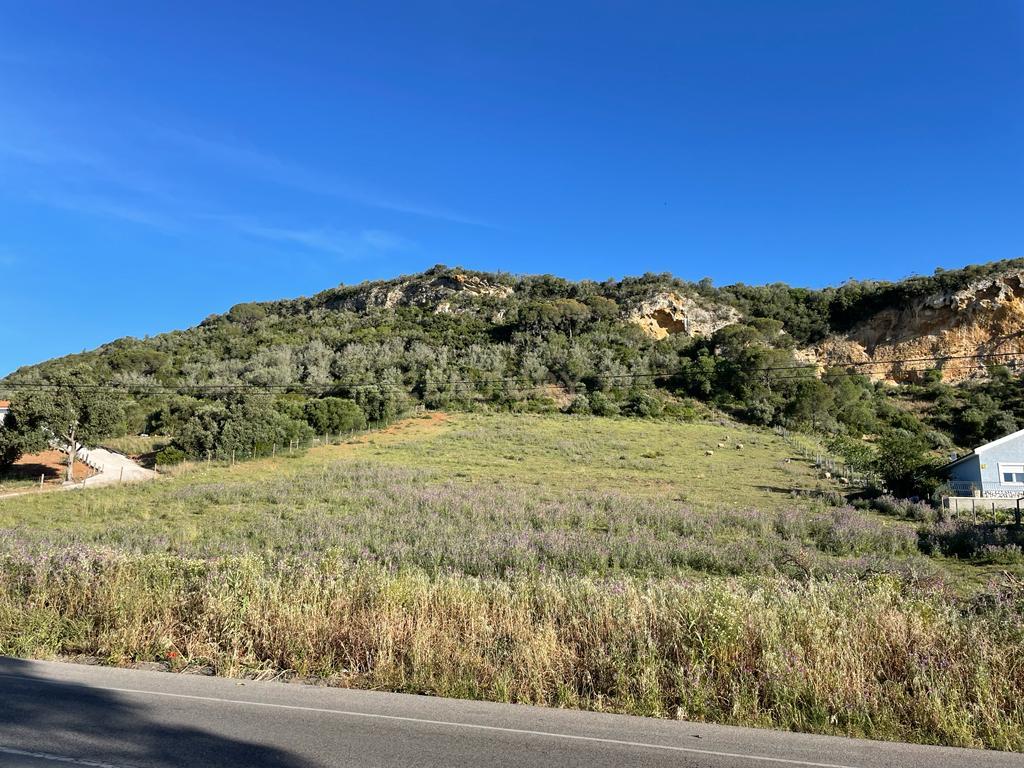 Terreno - Image 8